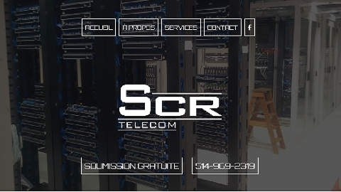 SCR TELECOM INC 
